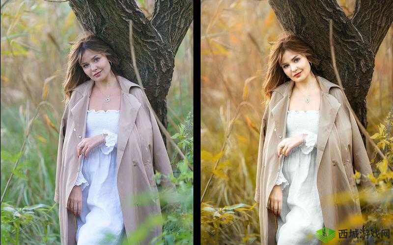 PS 二级调色大片效果:让你的照片更具艺术感