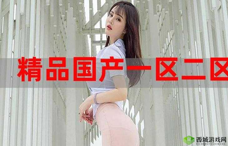 国精产品 9AA :引领行业新高度的卓越之作