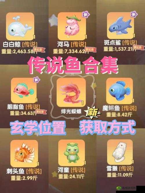 摩尔庄园手游传说鱼该怎么钓,资源管理、技巧与最大化价值