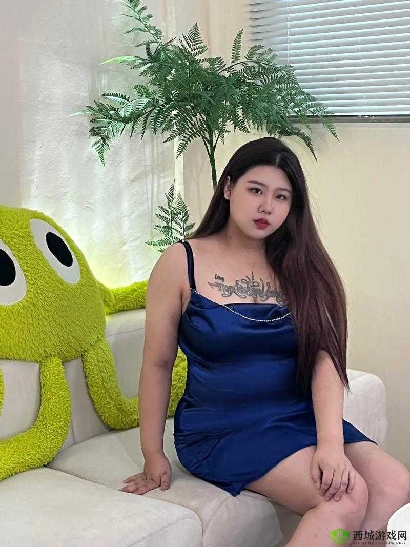 大肥女BBW:关于她们的独特魅力与生活故事