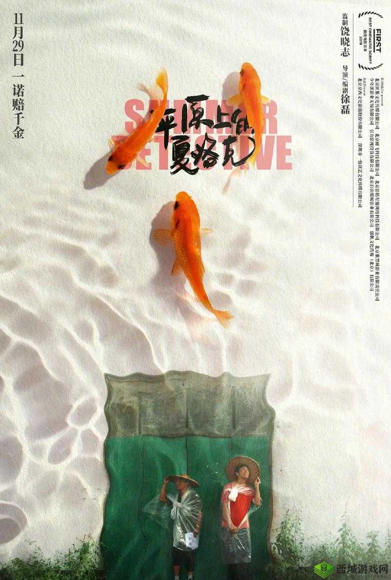 96533 电视影片免费人数之町:探索背后的奥秘与惊喜