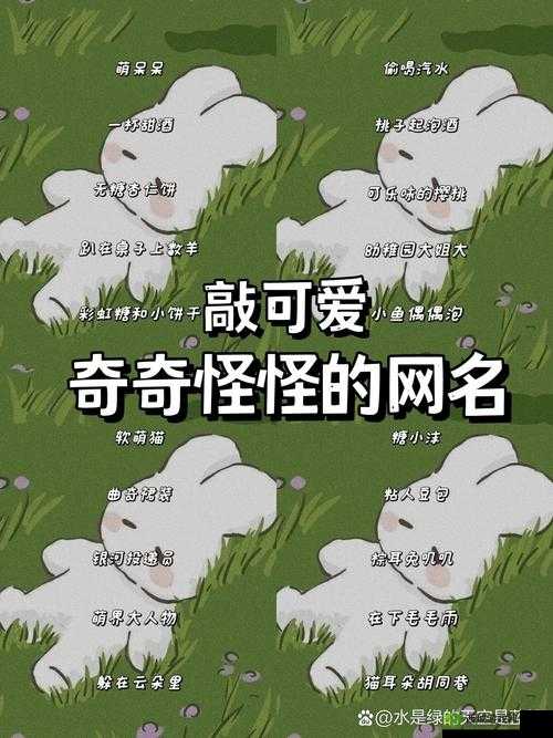4hu 最新地域网名 204:探索未知地域,发现新奇世界
