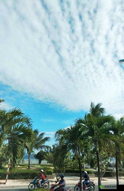 2018 天堂视频免费:提供海量高清视频资源,满足您的多样化需求