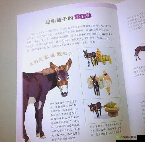 zzjizzji 的奇妙之旅:探索未知的世界