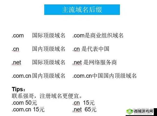 17c最新域名查询网:如何快速找到并注册你心仪的域名?详细步骤与实用技巧分享